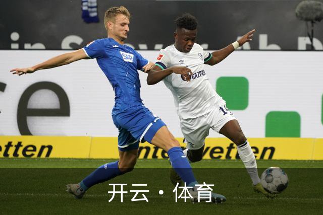 开云·体育公司简介